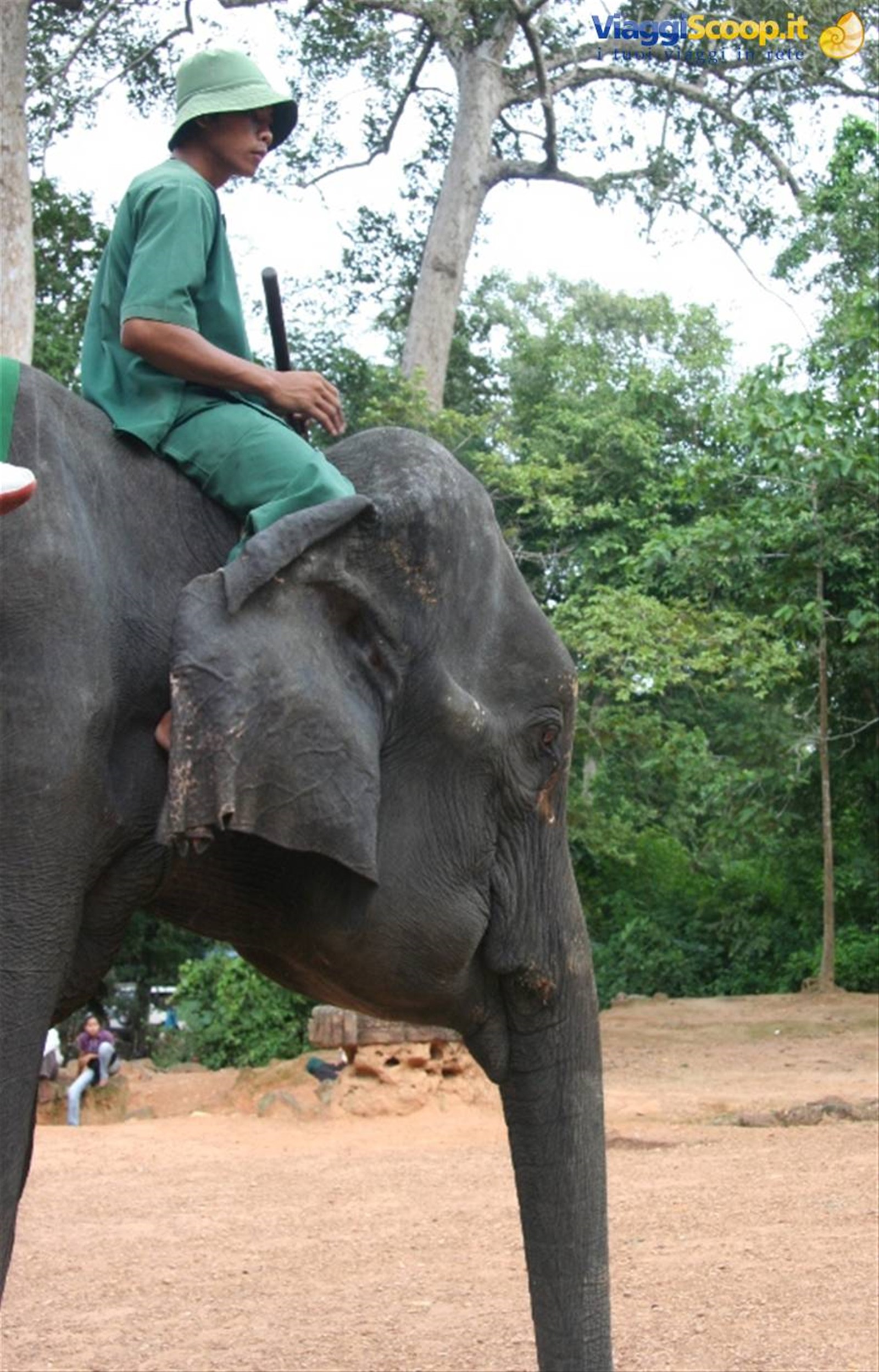 Foto di viaggio in CAMBOGIA