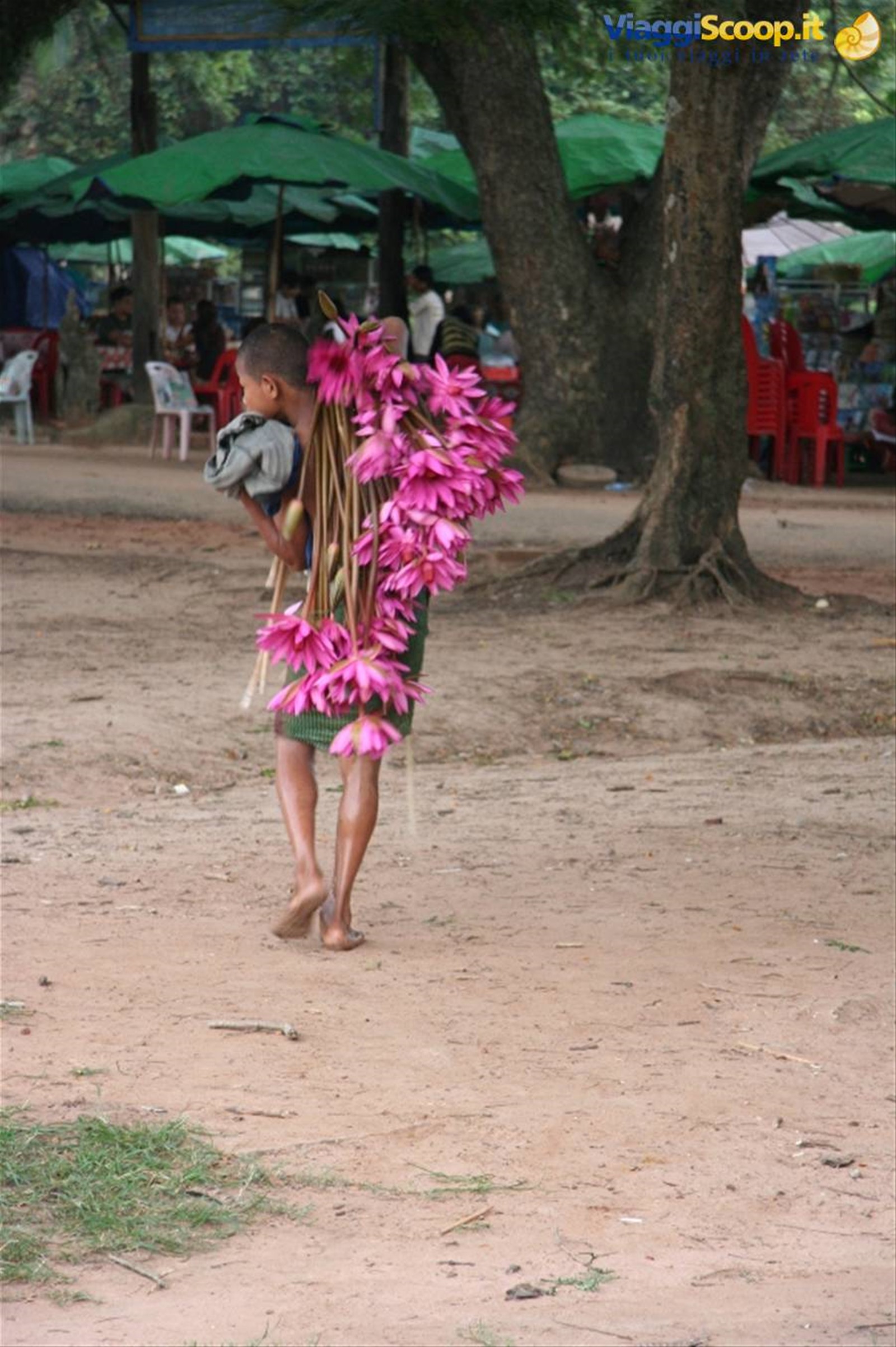 Foto di viaggio in CAMBOGIA