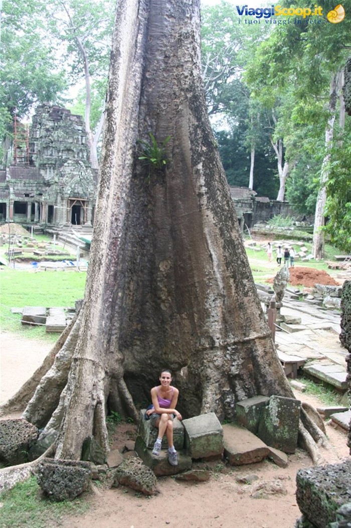 Lara Croft....Ta Prohm