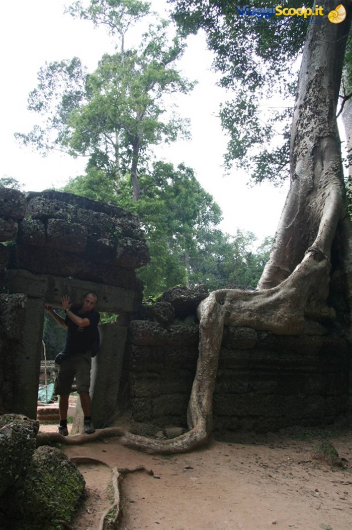 Ta Prohm