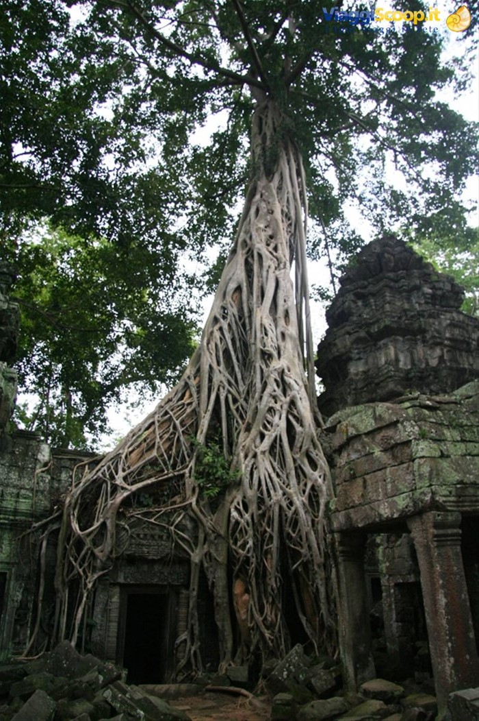 Ta Prohm