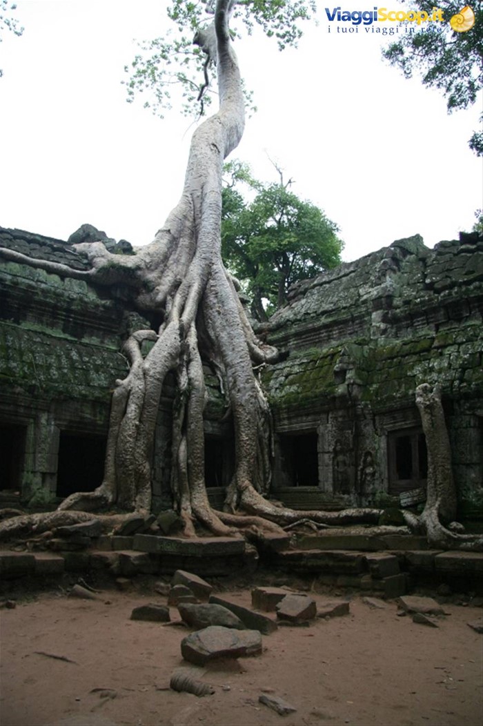 Ta Prohm