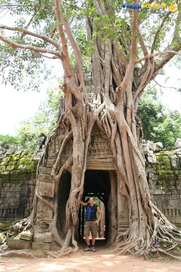 Banteay Srei