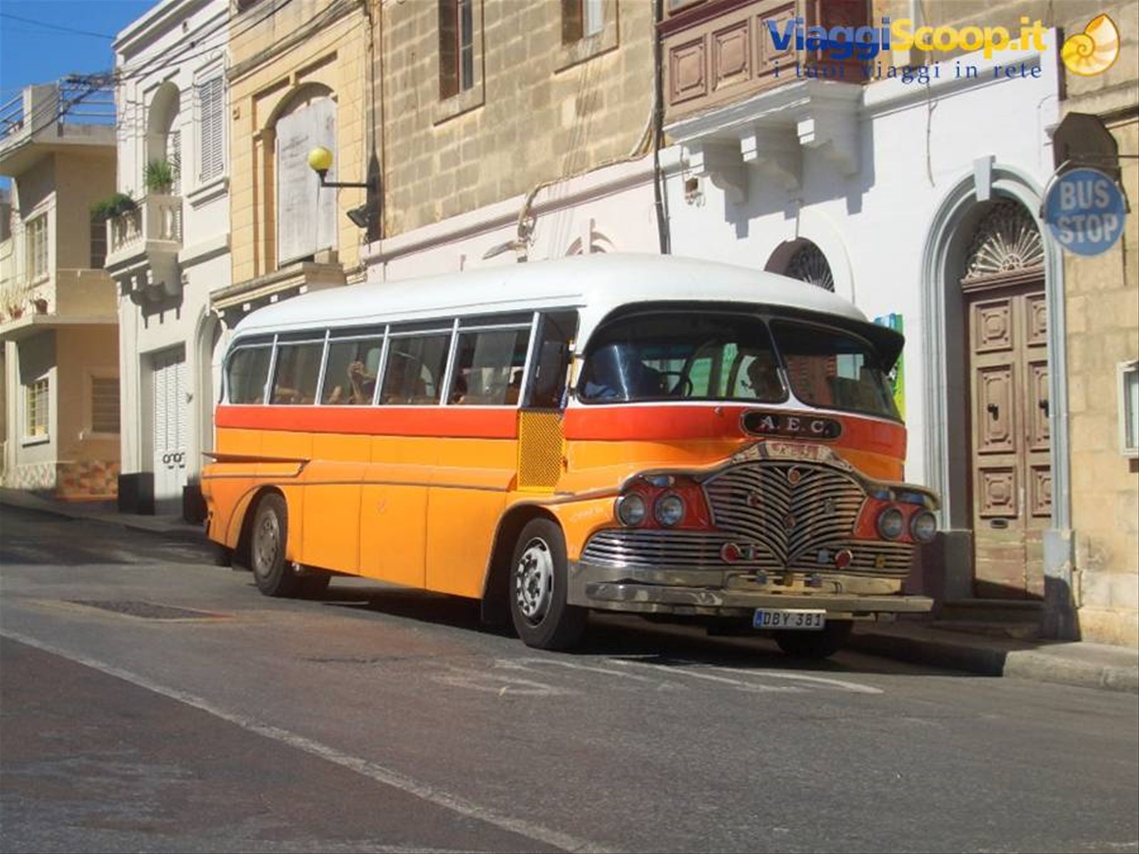 BUS