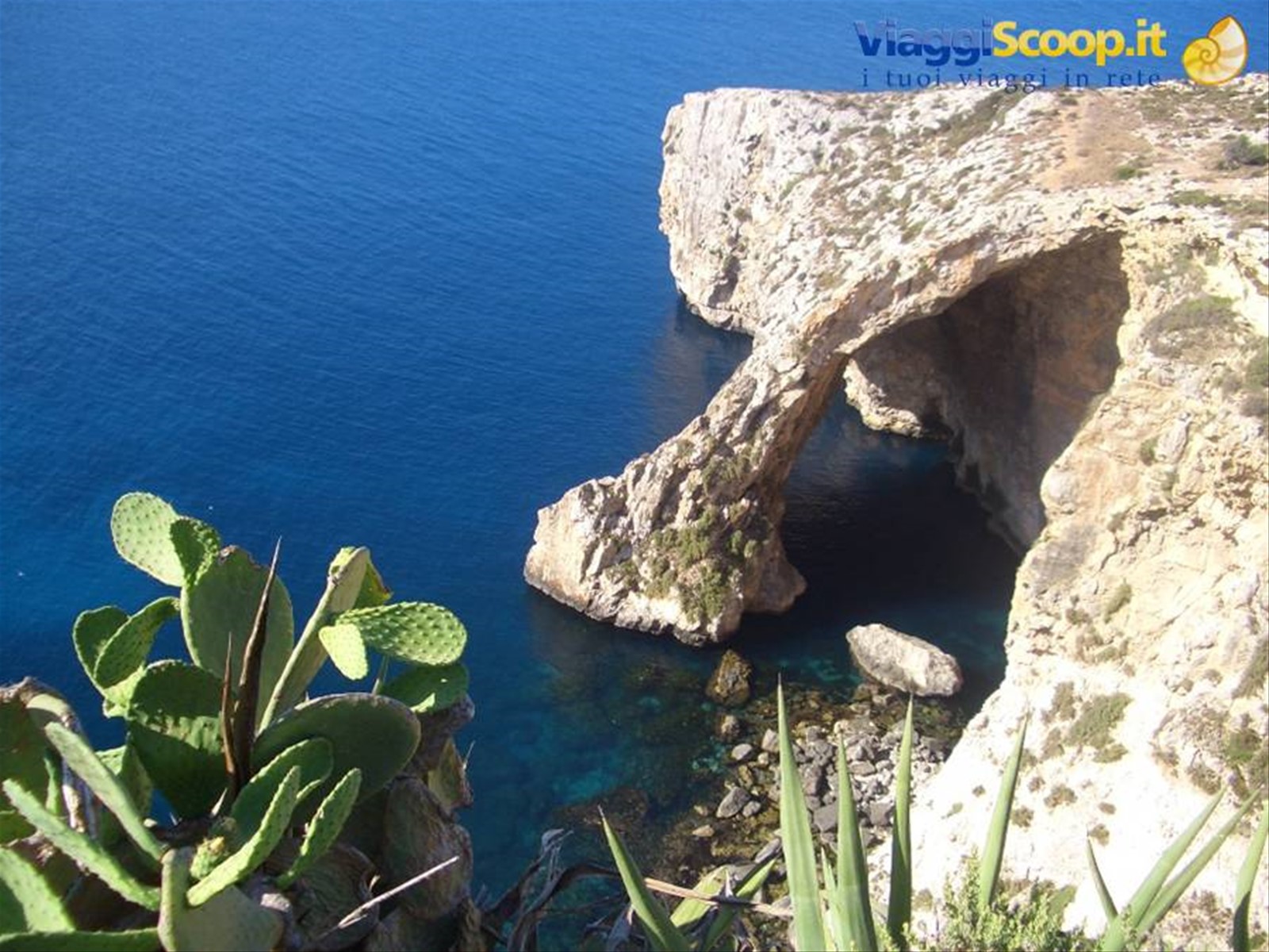 BLUE GROTTO
