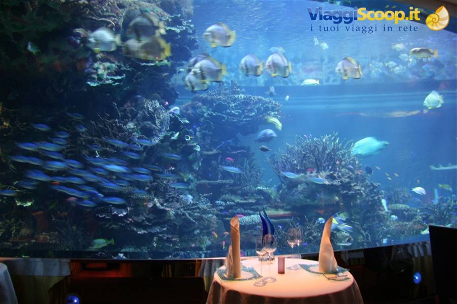 Ristorante vista...acquario