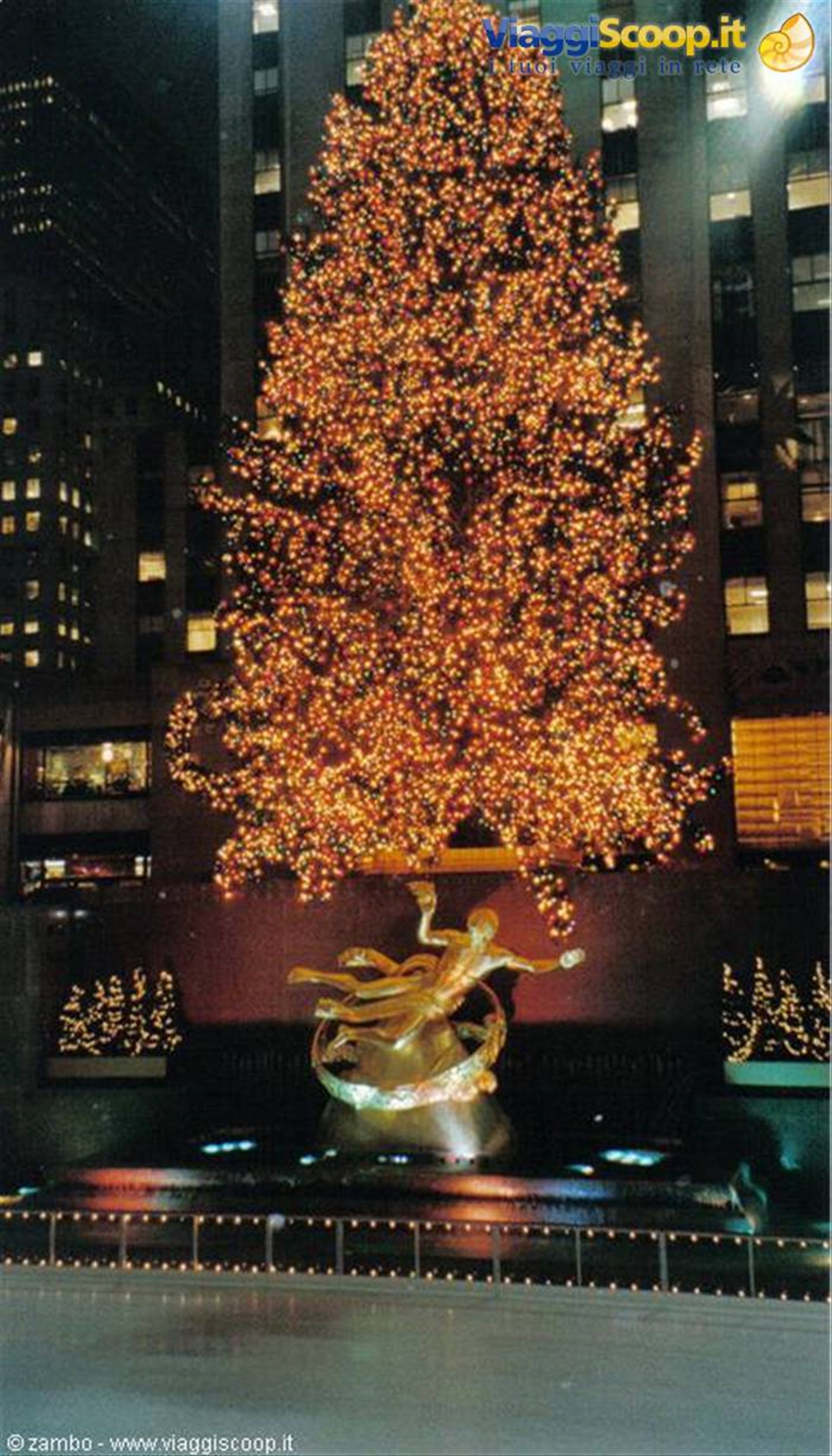 Christmass Tree
