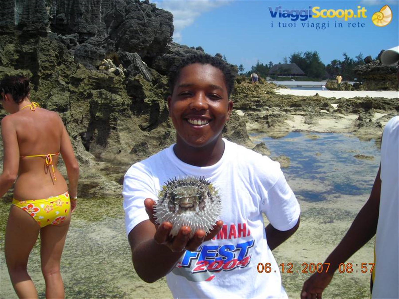 DIDA E IL PESCE PALLA