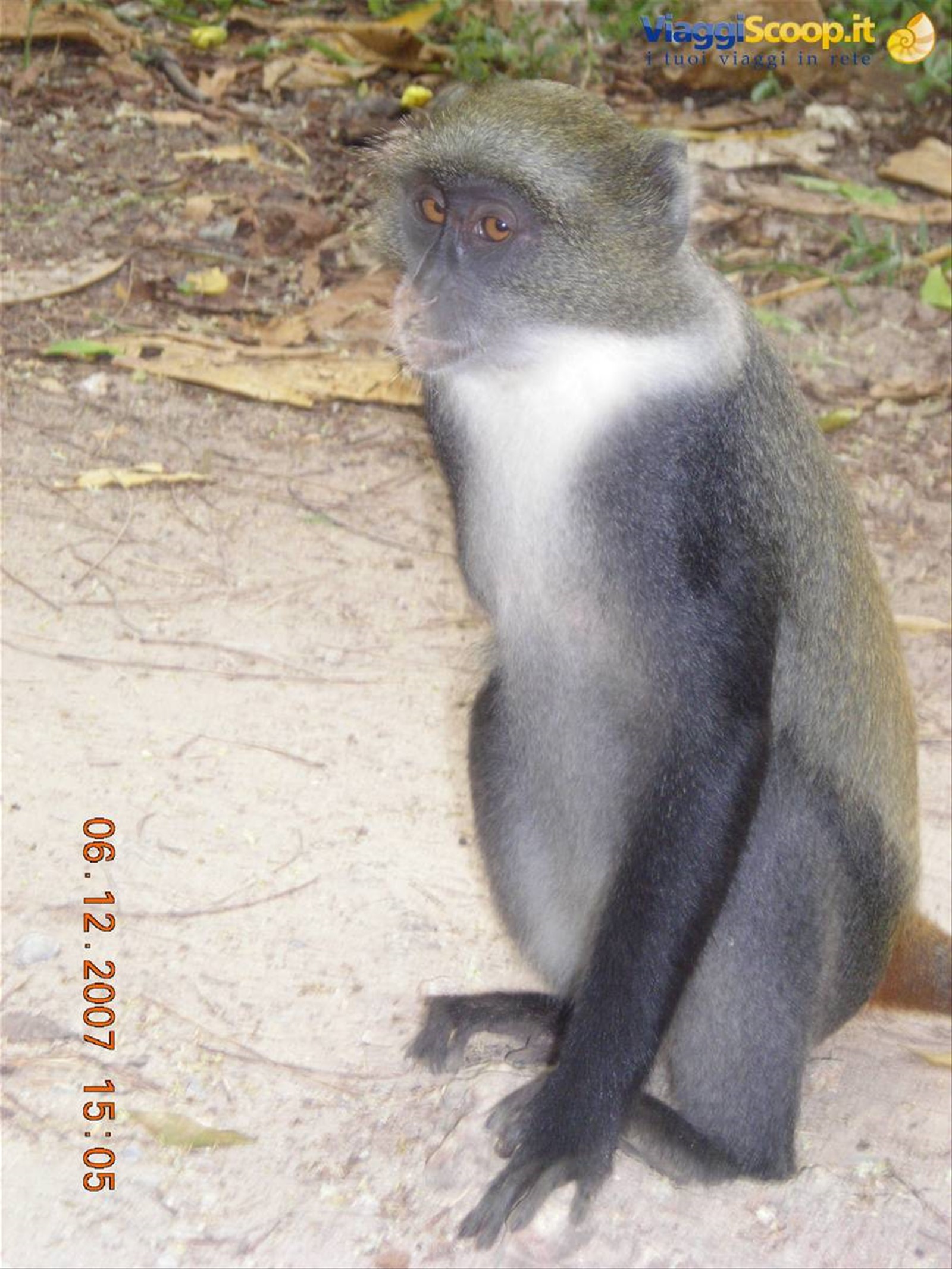 Foto di viaggio in KENYA