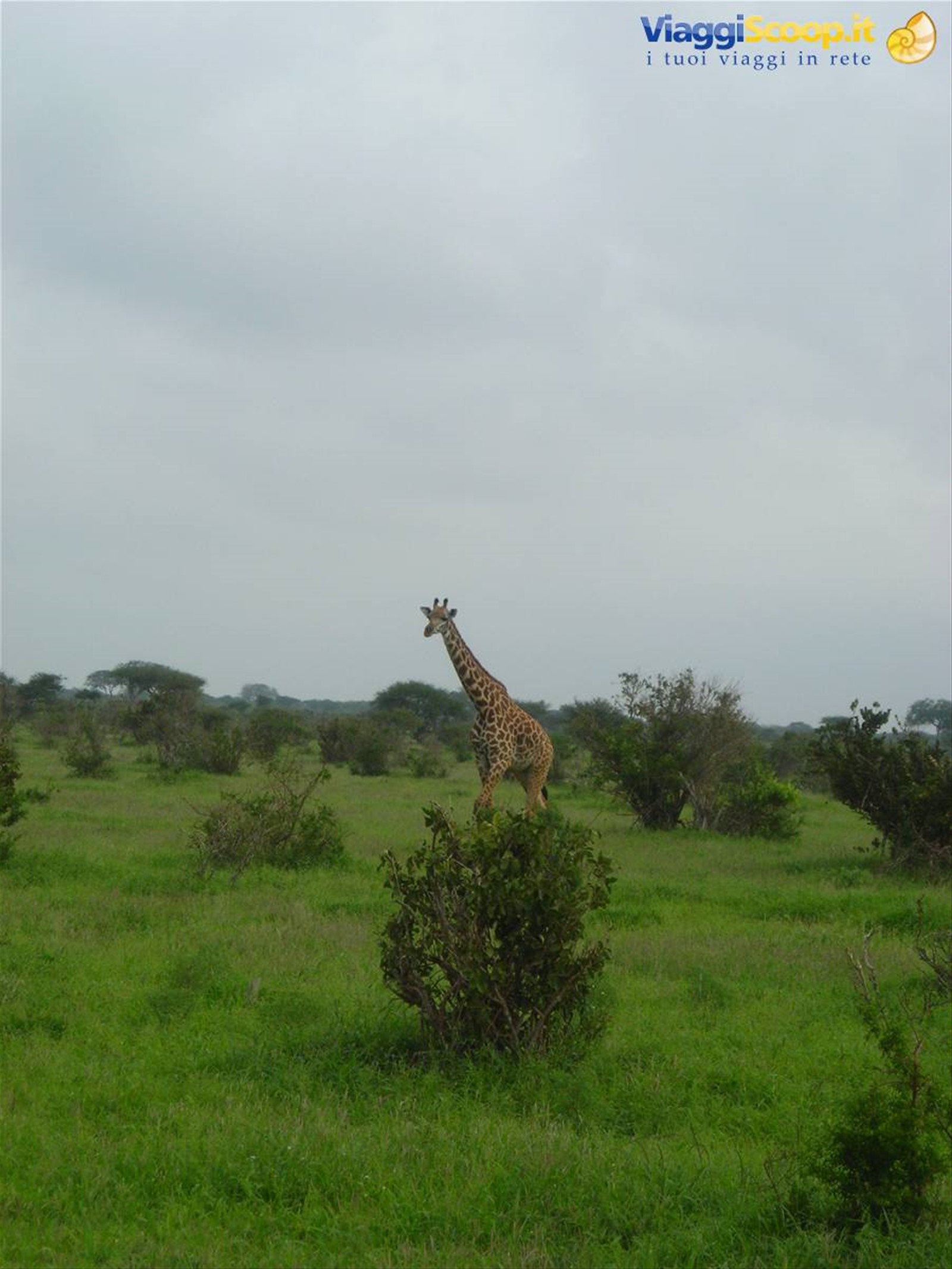 Foto di viaggio in KENYA