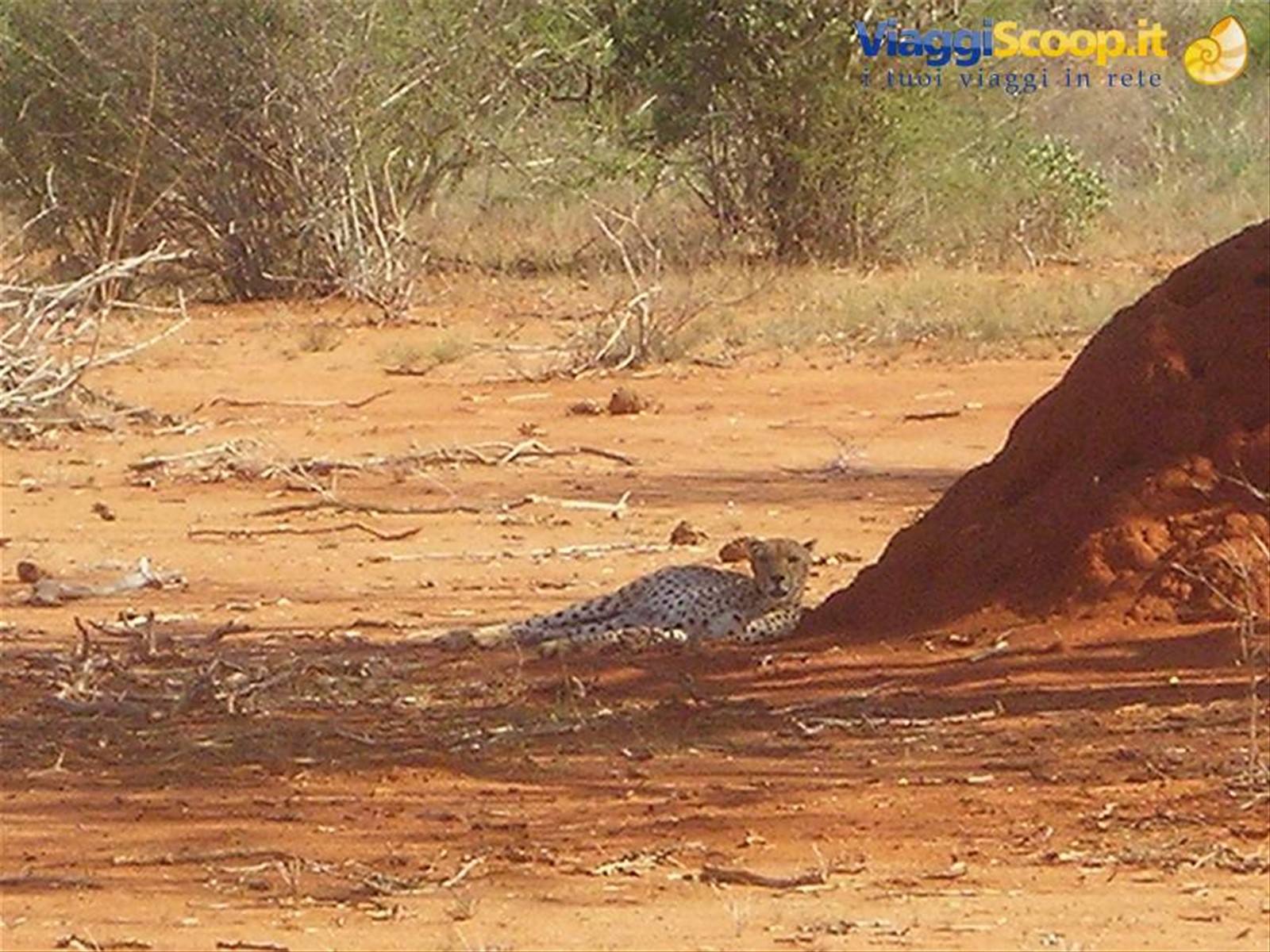 Foto di viaggio in KENYA