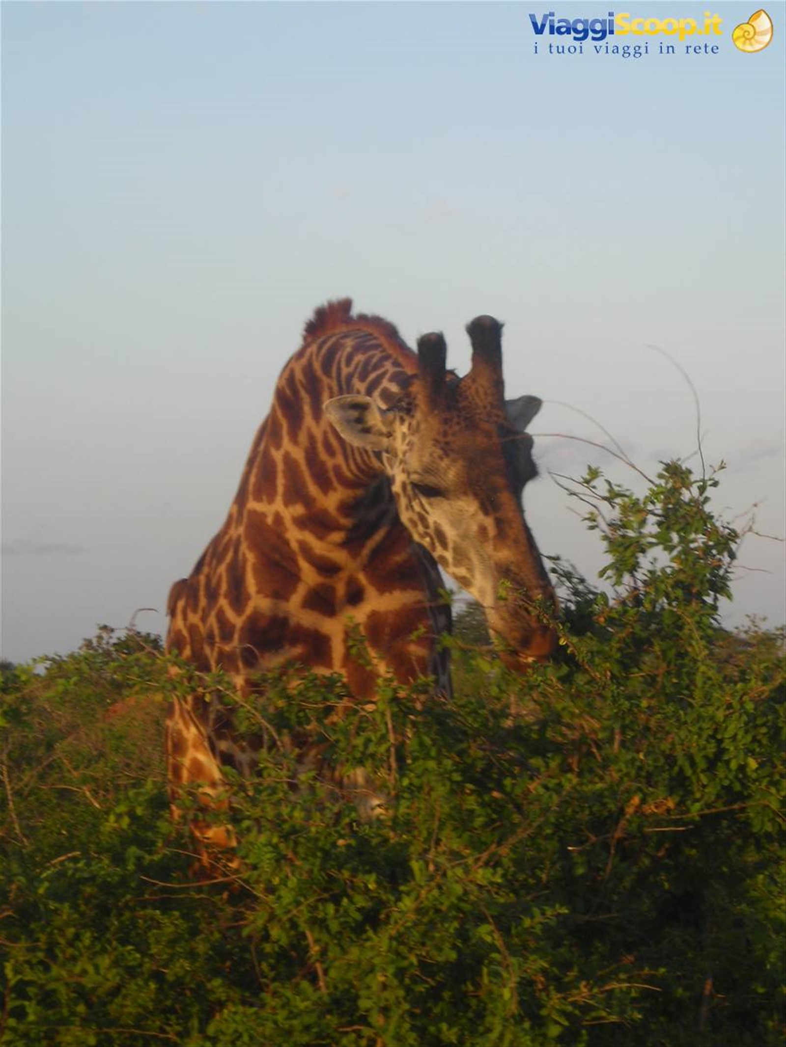 Foto di viaggio in KENYA