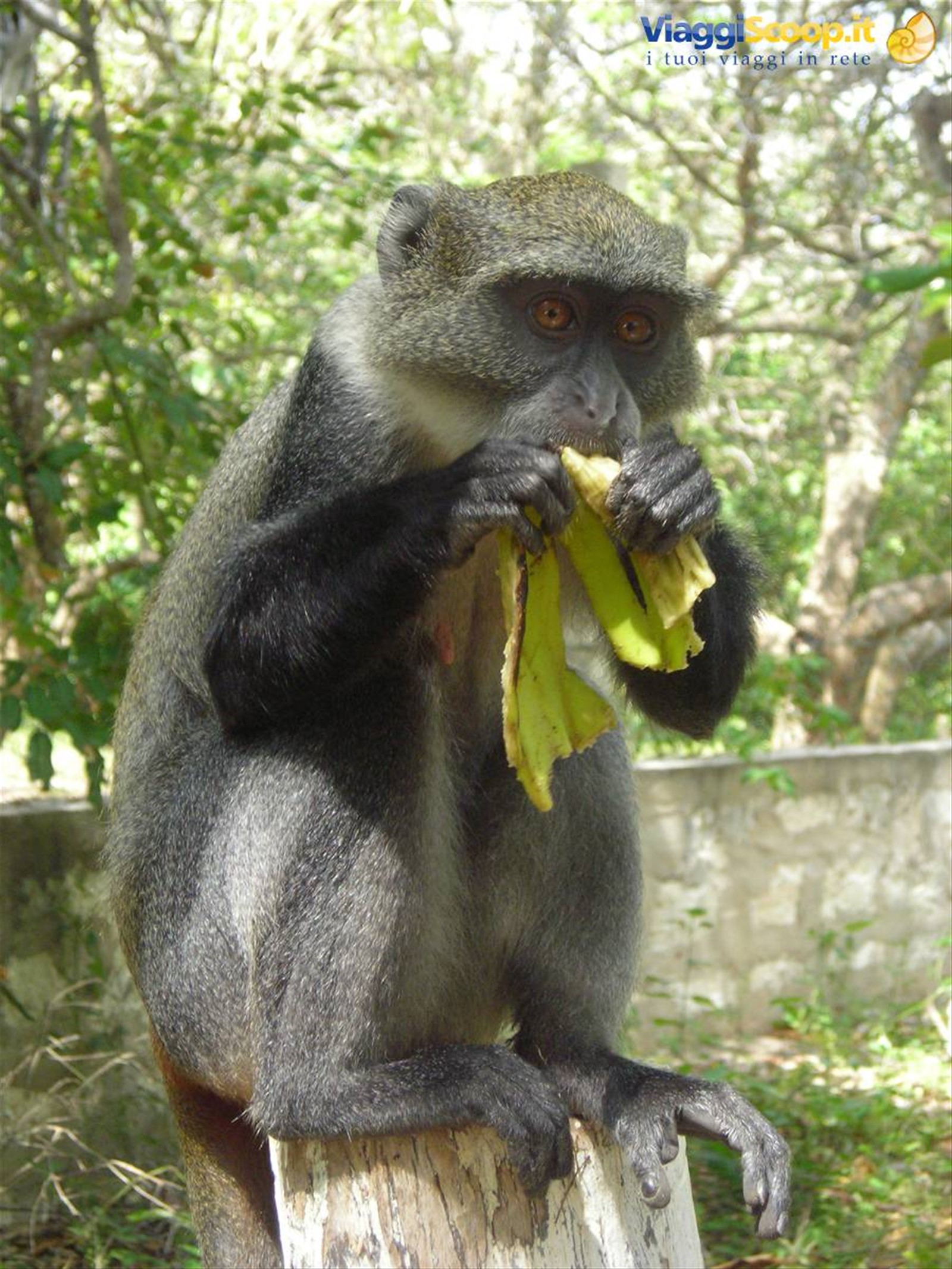 Foto di viaggio in KENYA