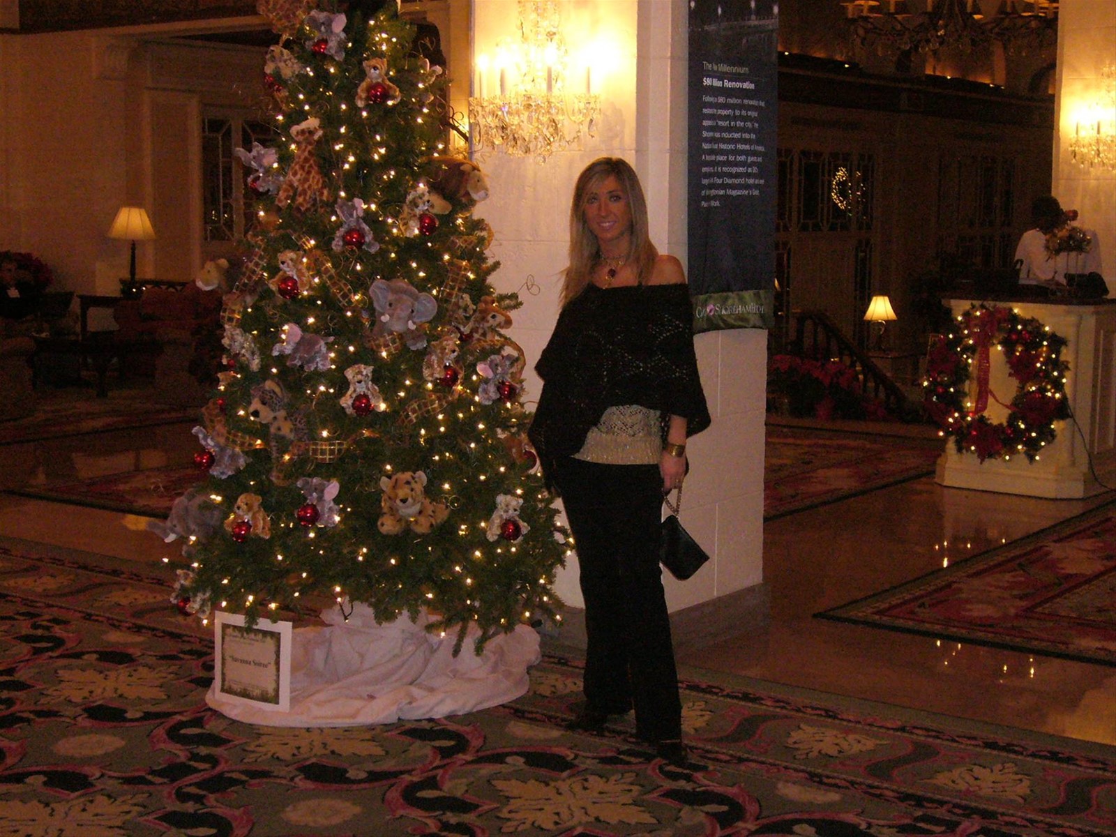 serata di gala a Washington DC - Omni Shoream Hotel