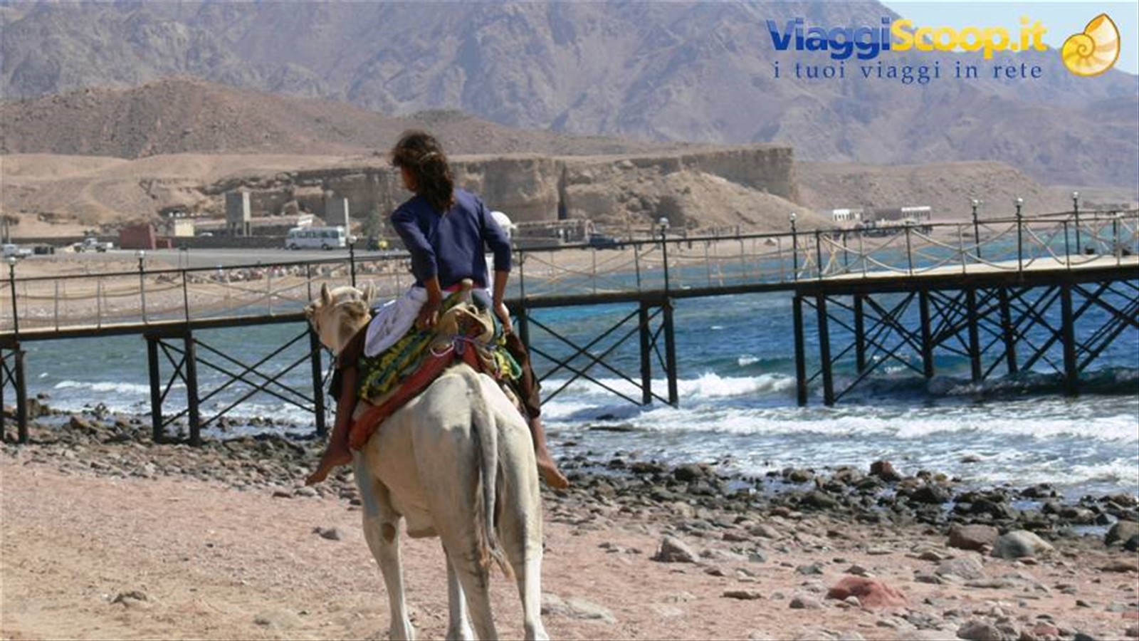 Sinai