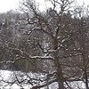 foto viaggio GERMANIA