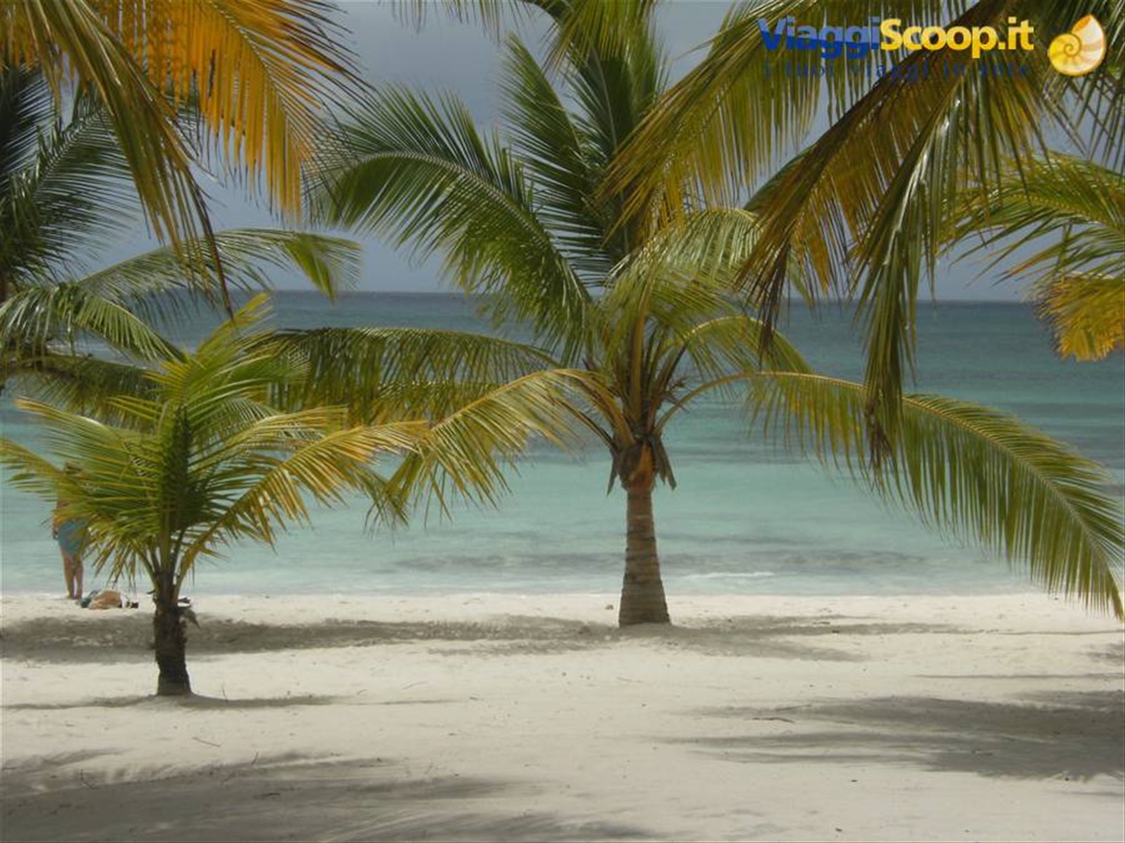 Foto di viaggio in REPUBBLICA DOMINICANA