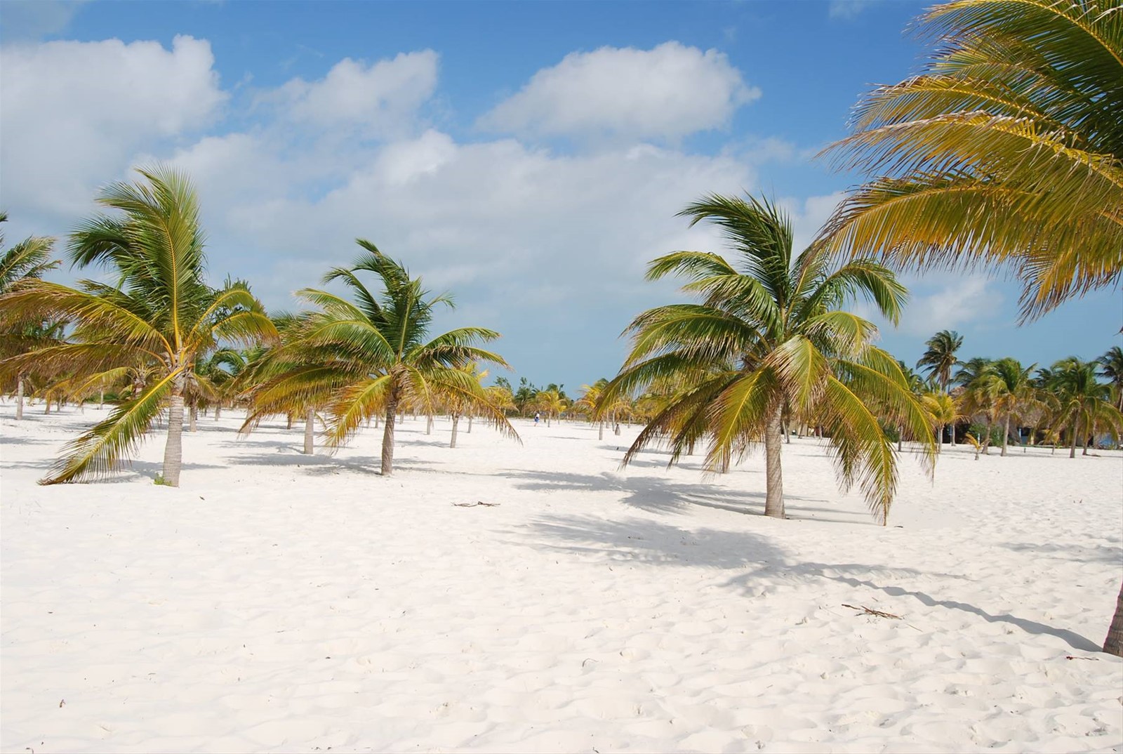 Foto di viaggio in CUBA