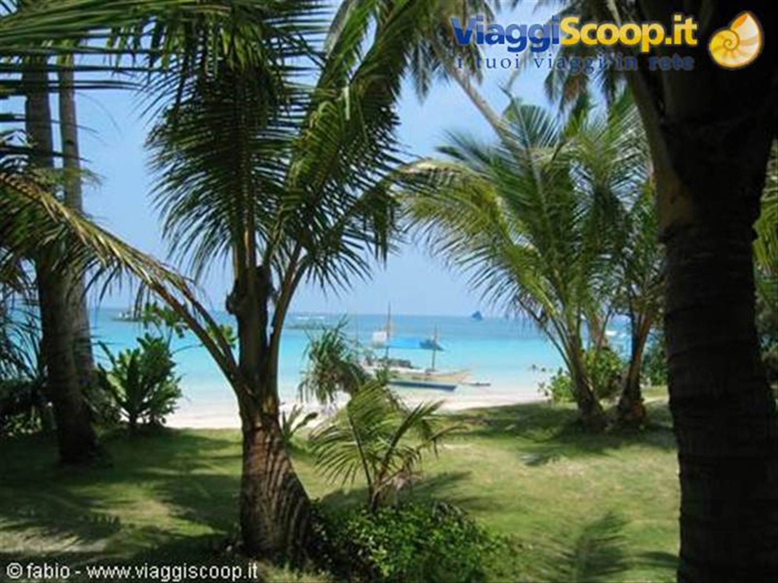 vegetazione a boracay