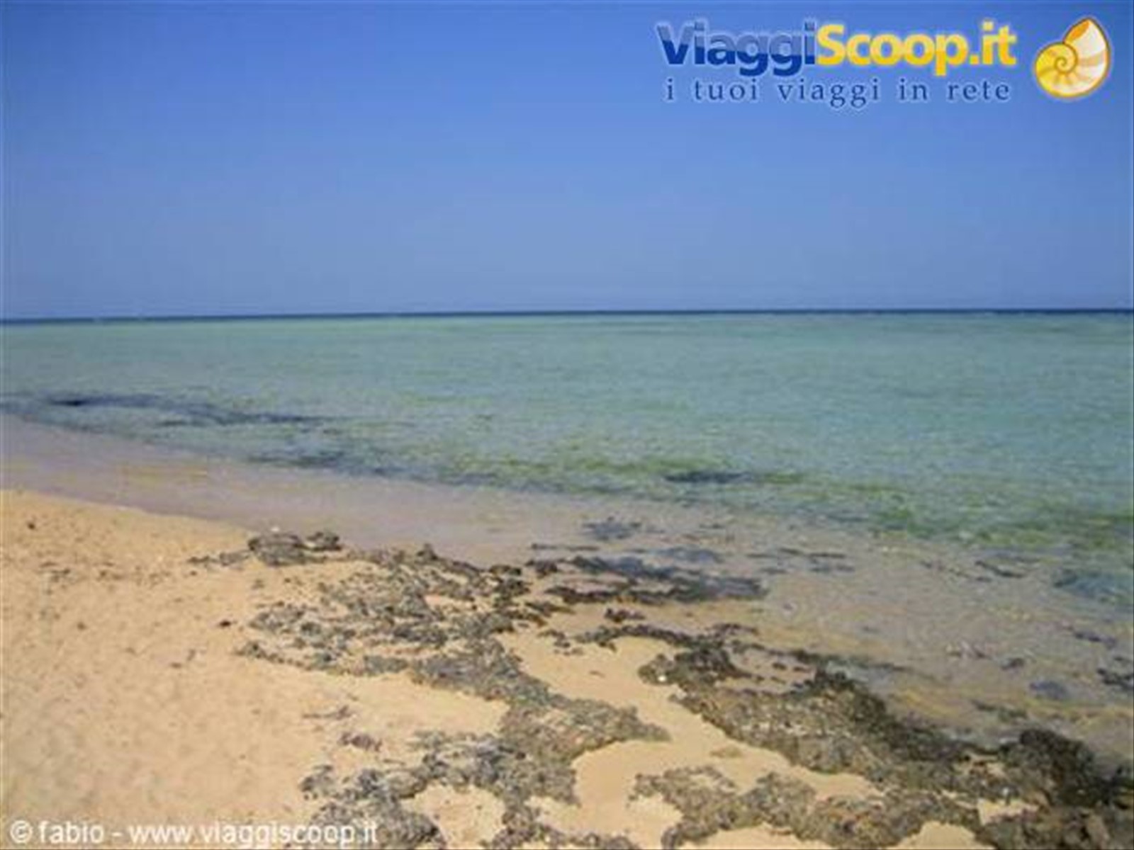 il mar rosso di marsa alam