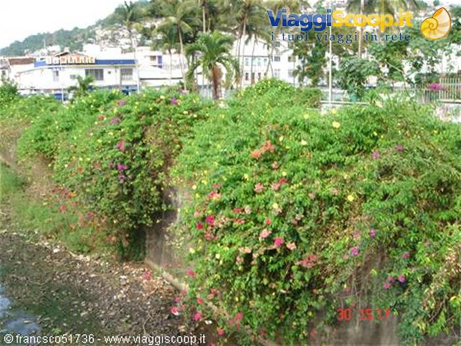 Foto di viaggio in MARTINIQUE