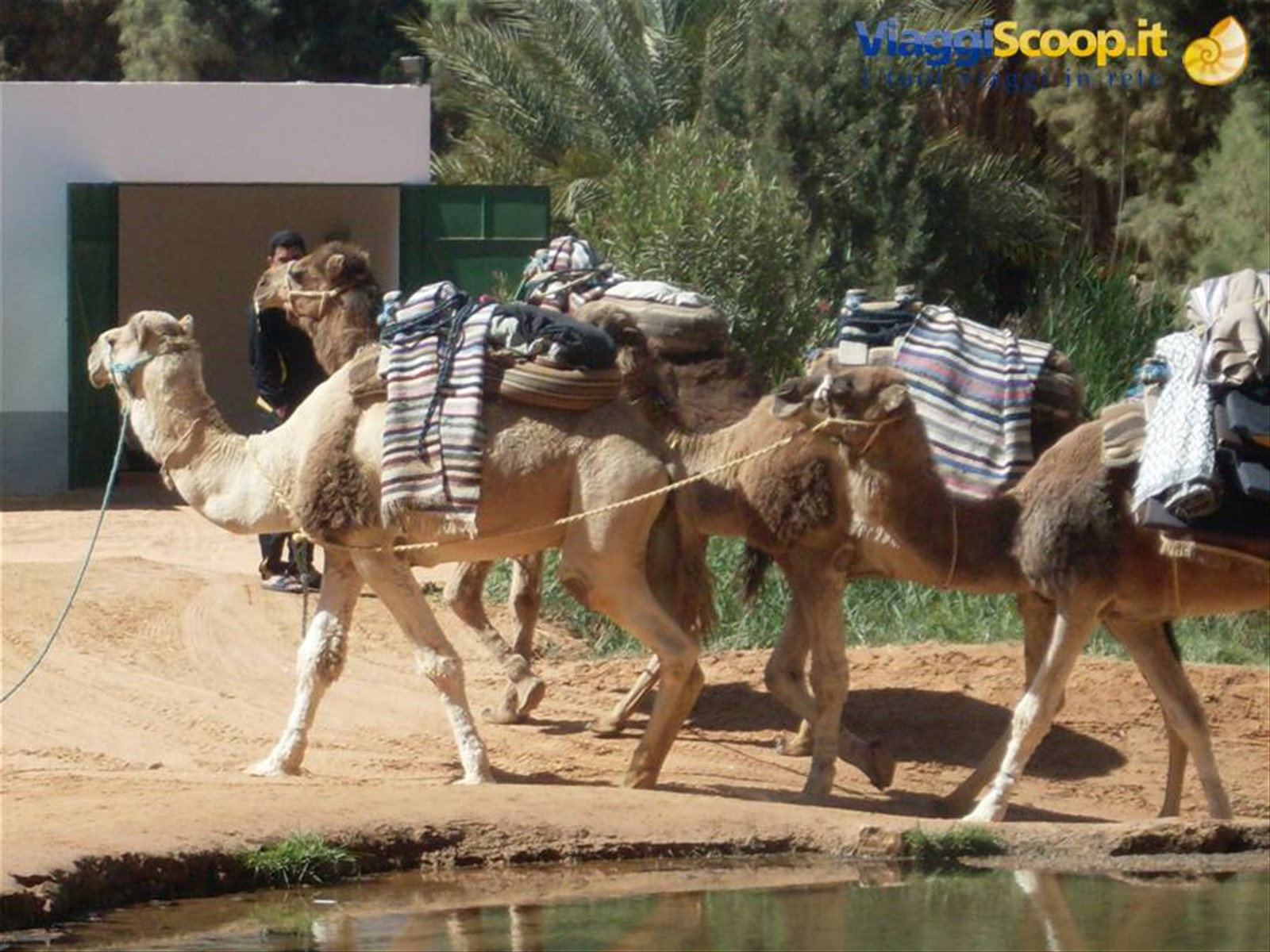 Foto di viaggio in TUNISIA