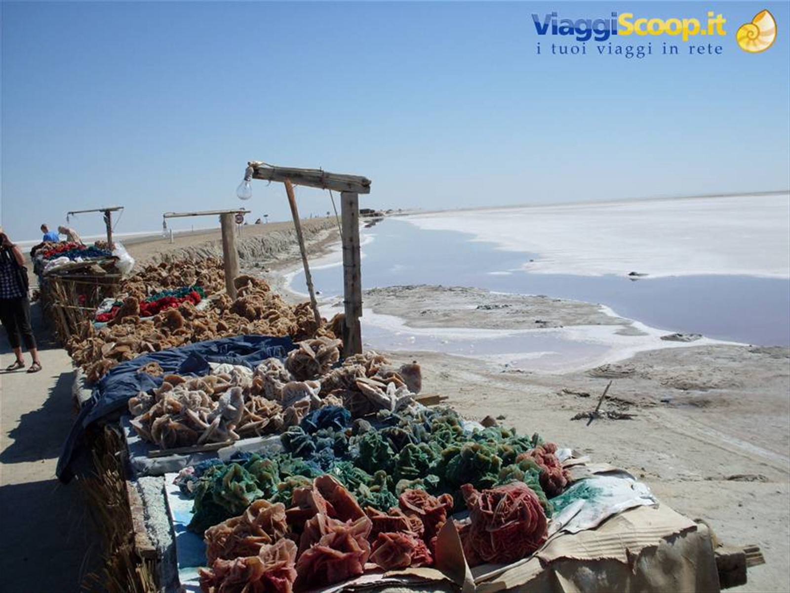 Foto di viaggio in TUNISIA