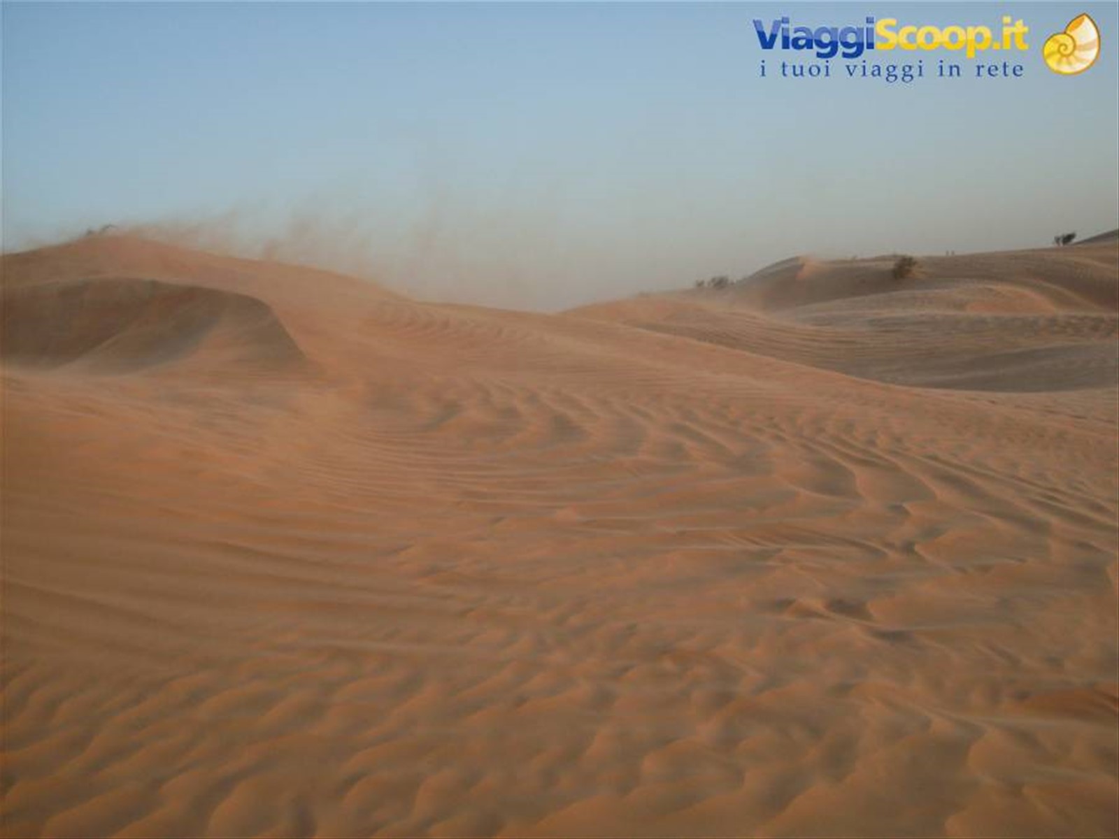 Foto di viaggio in TUNISIA