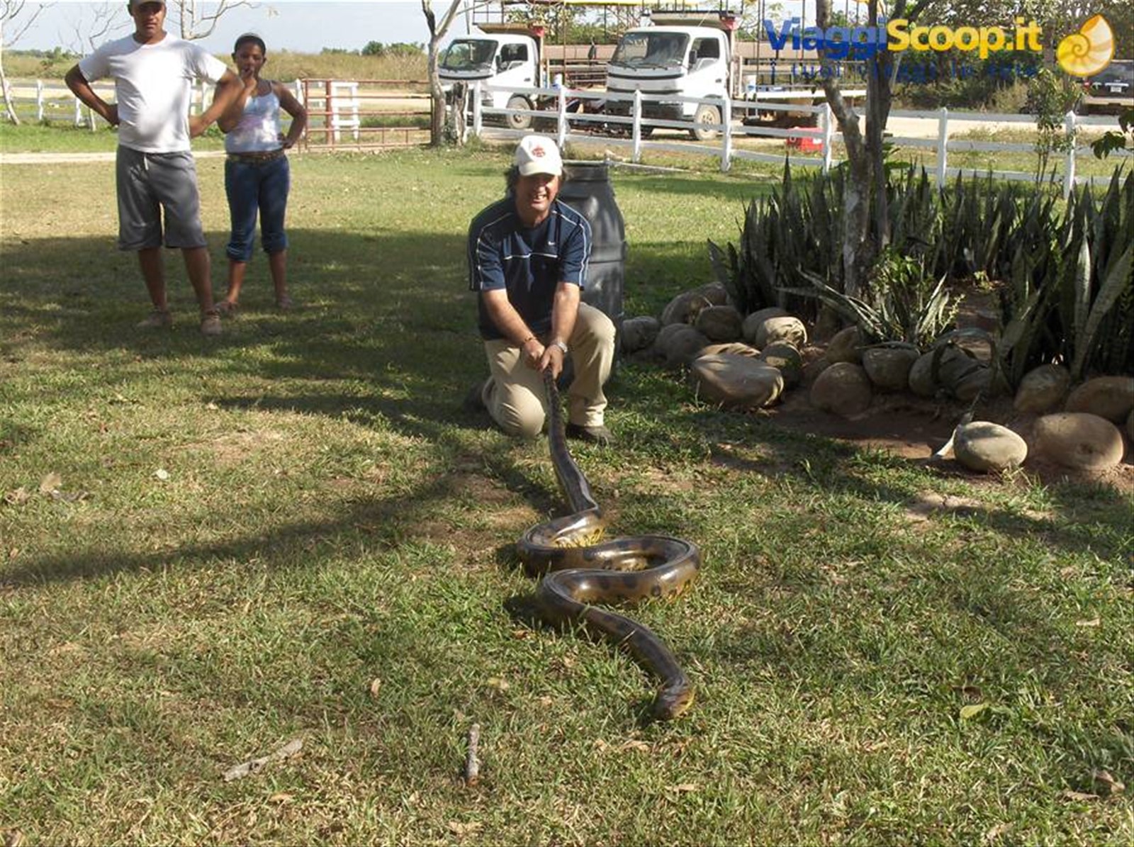 Cosimo cercando di prendere un' Anaconda Los Llanos