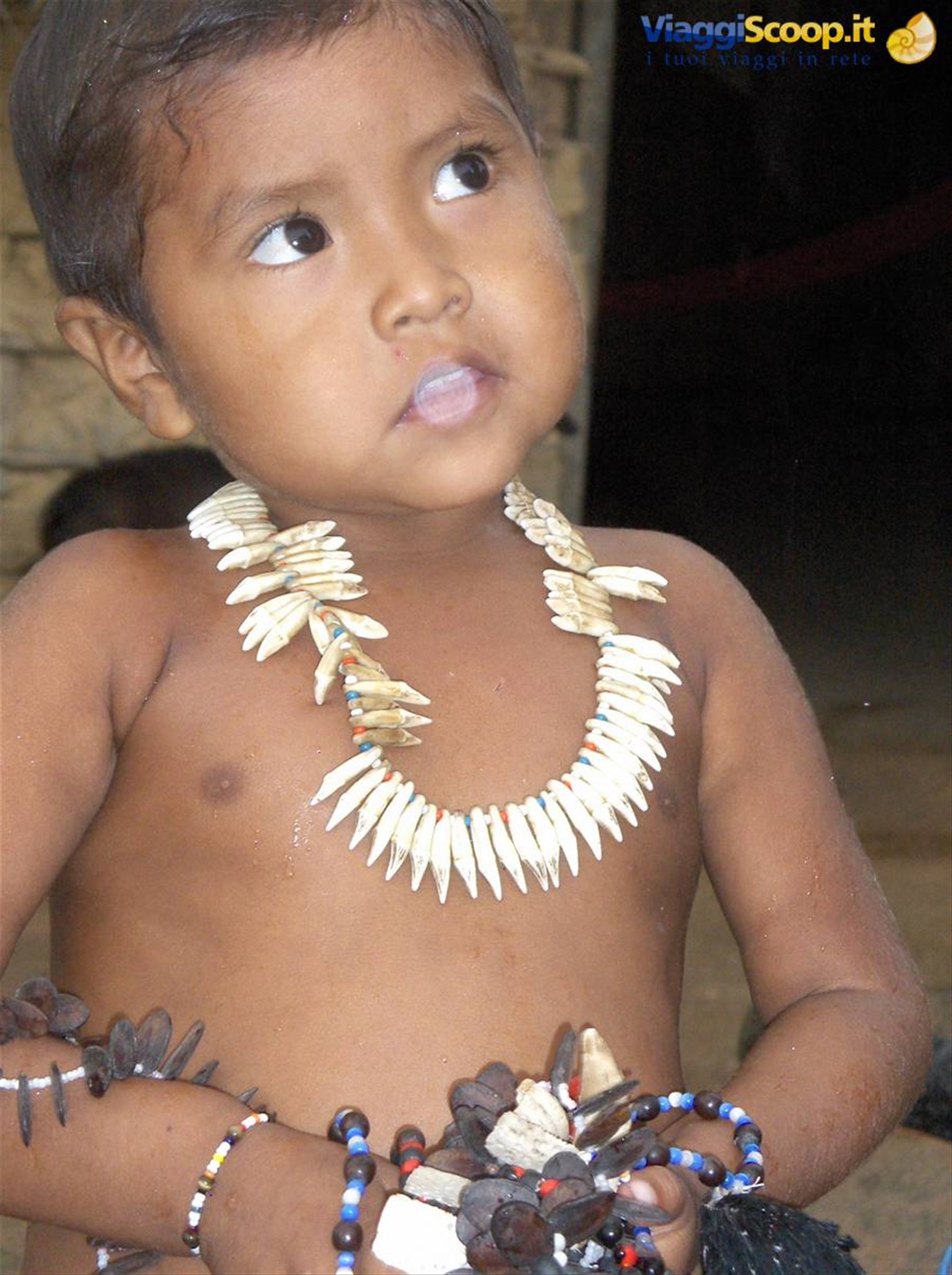 Amazzonia