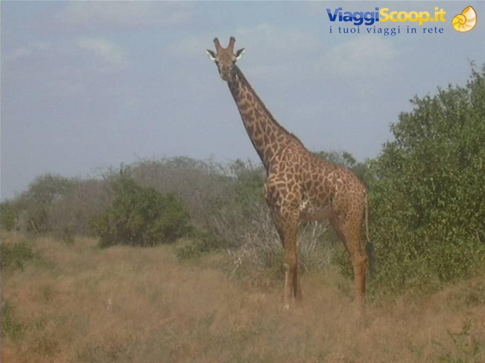 Foto di viaggio in KENYA