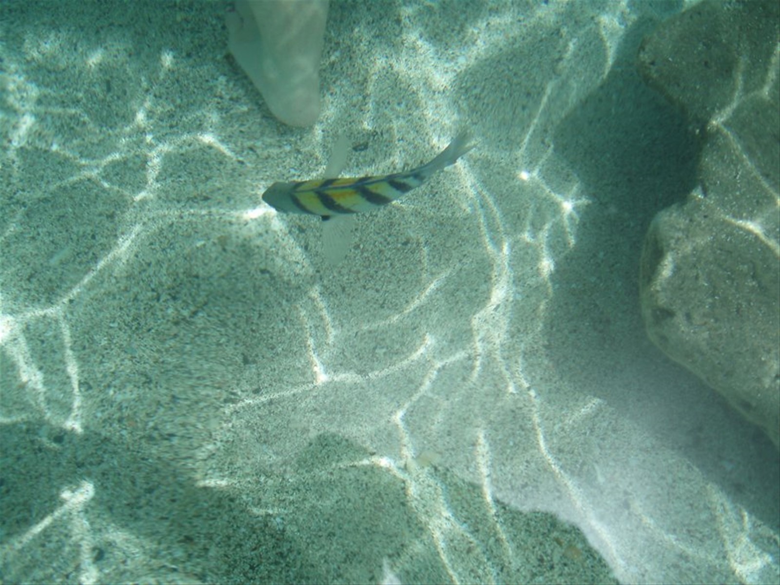 direttamente sulla spiaggia