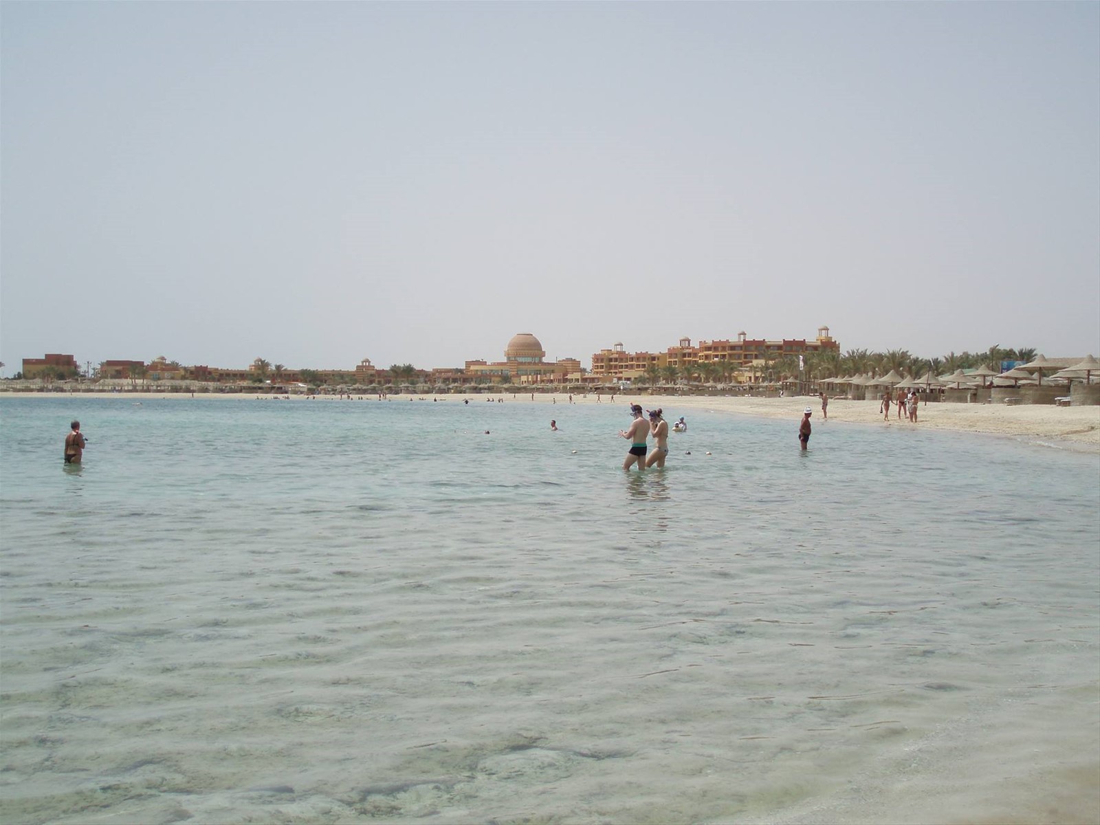 abu dabbab