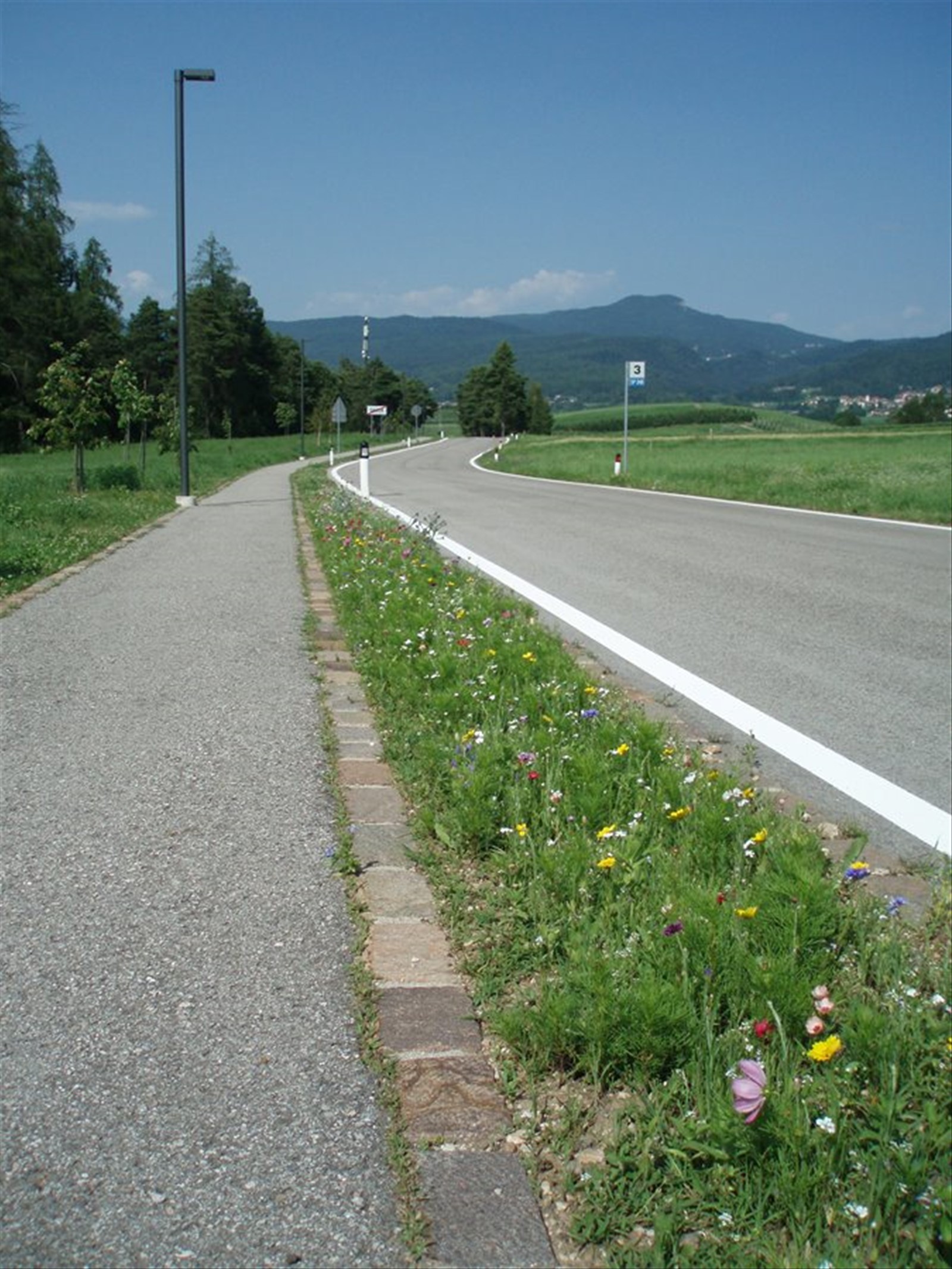 cordolo di fiori