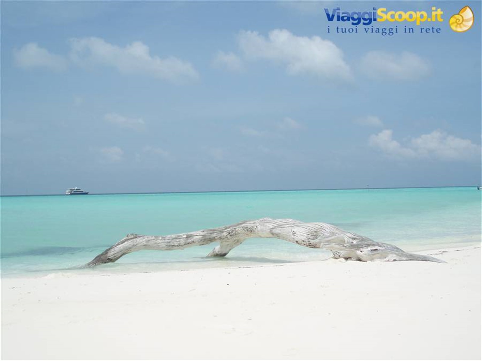 isola deserta a 40 minuti in dhoni