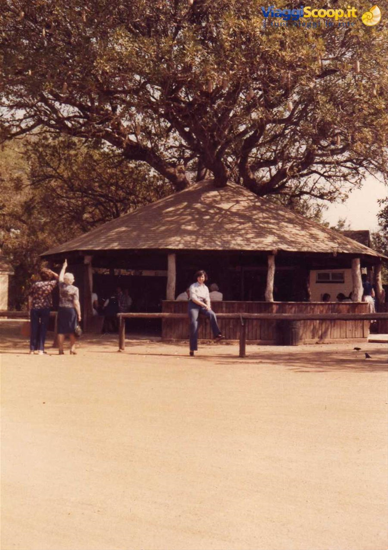 Kruger national park