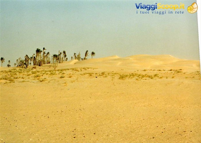 deserto