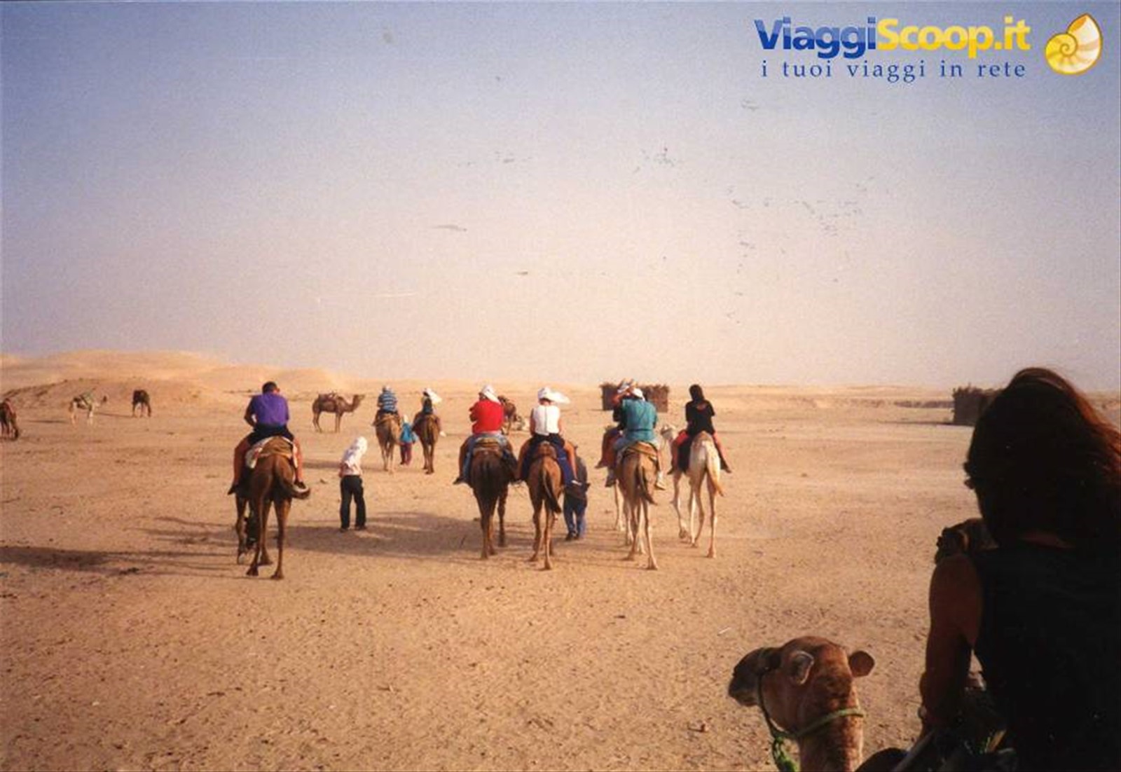 spedizione nel deserto