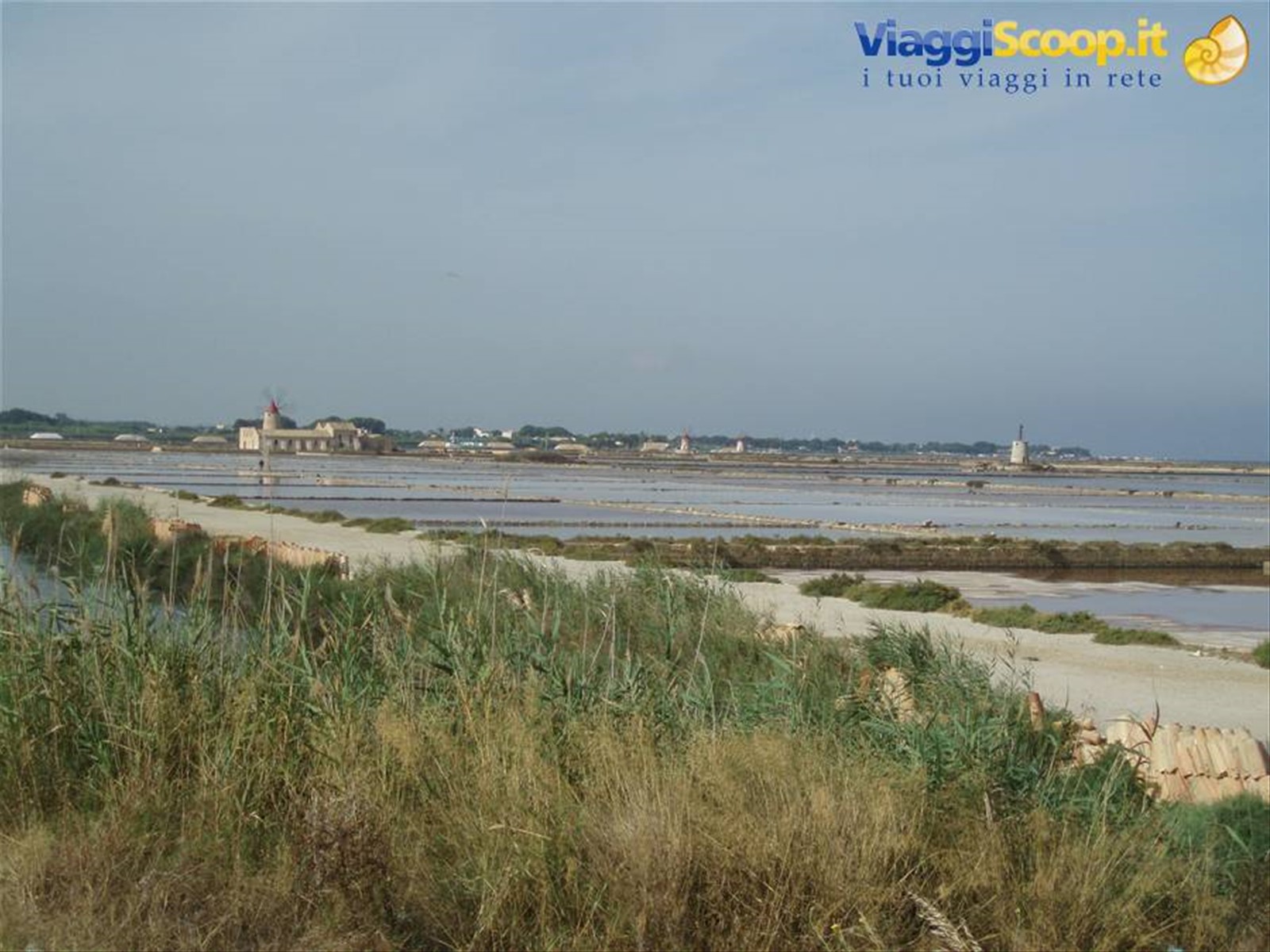 le saline