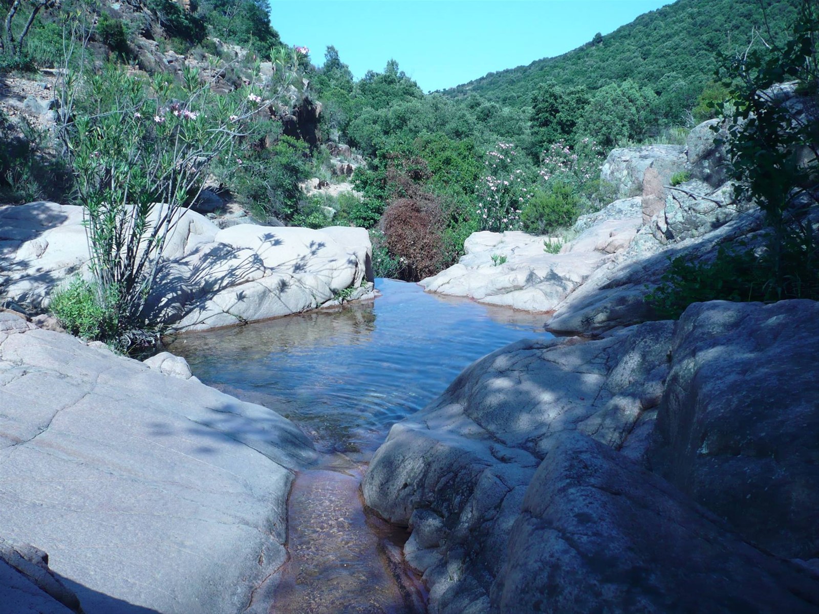 le piscine
