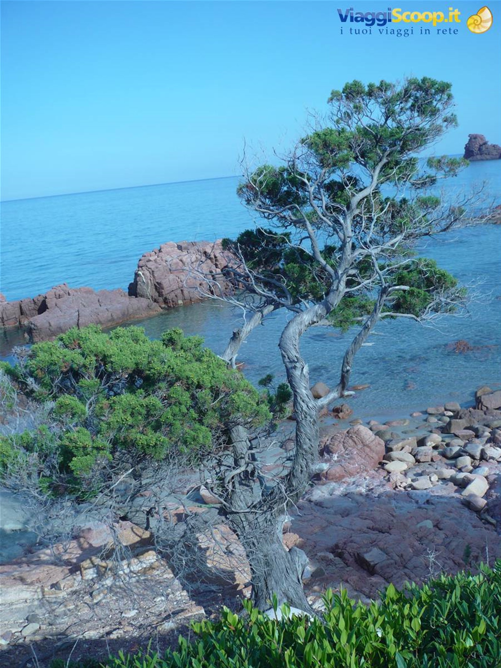 spettacolo della natura