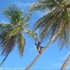 foto viaggio BARBADOS