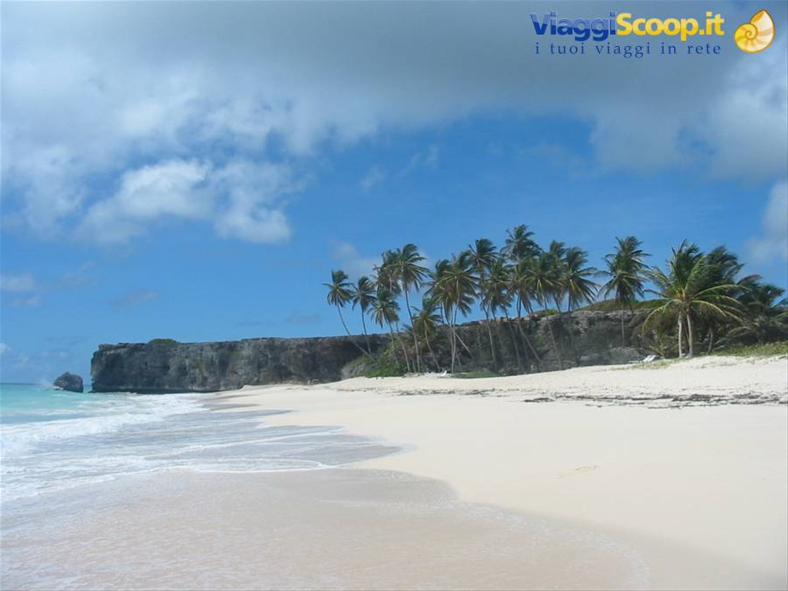 Foto di viaggio in BARBADOS