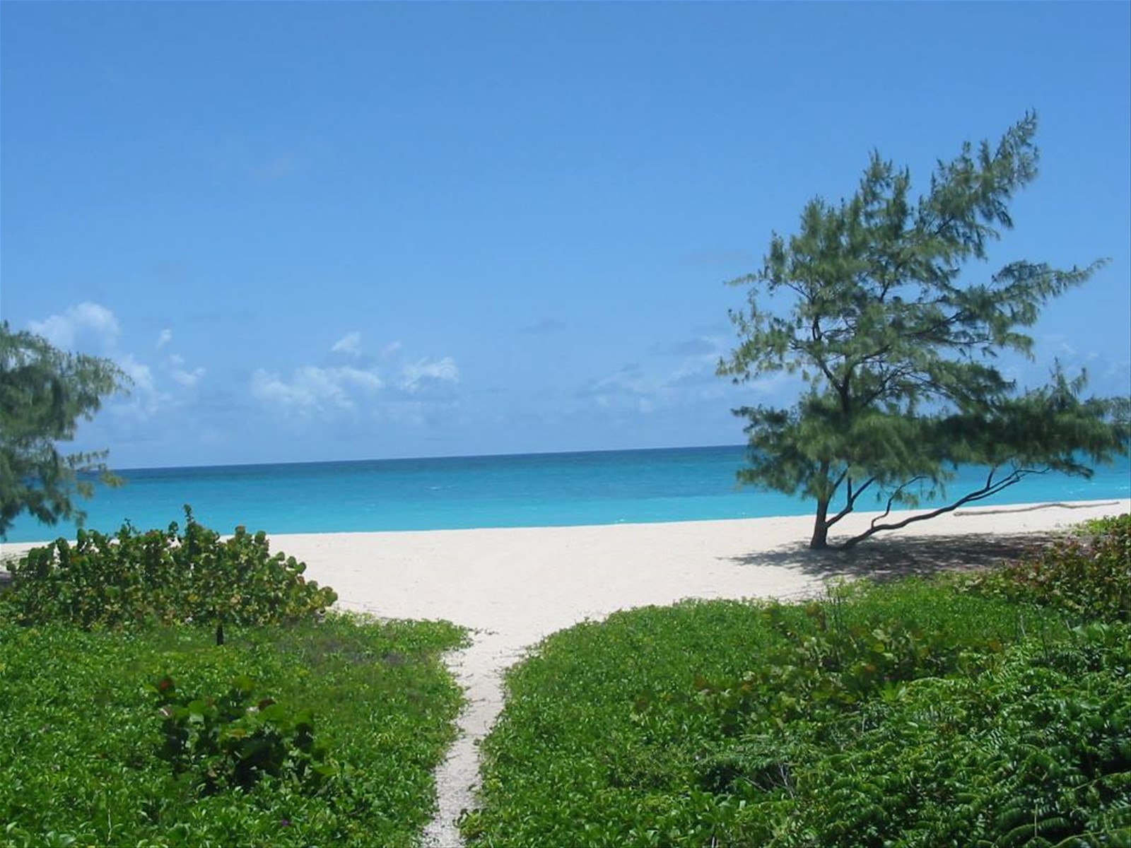 Foto di viaggio in BARBADOS