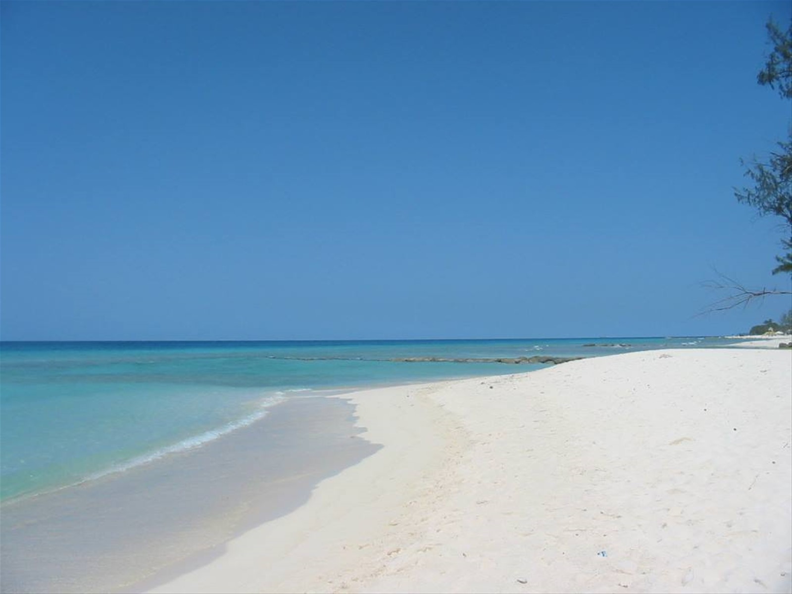 Foto di viaggio in BARBADOS