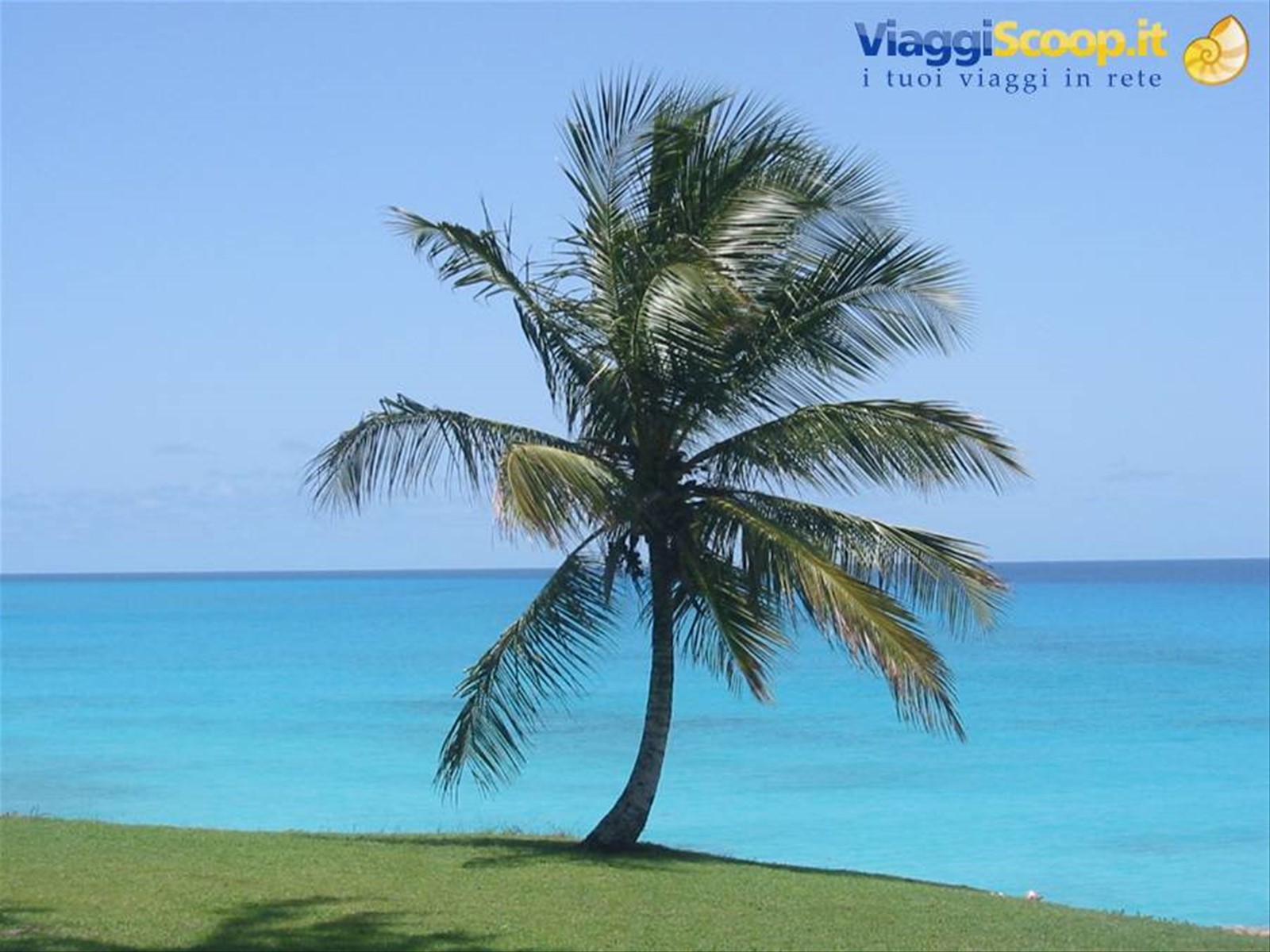 Foto di viaggio in BARBADOS