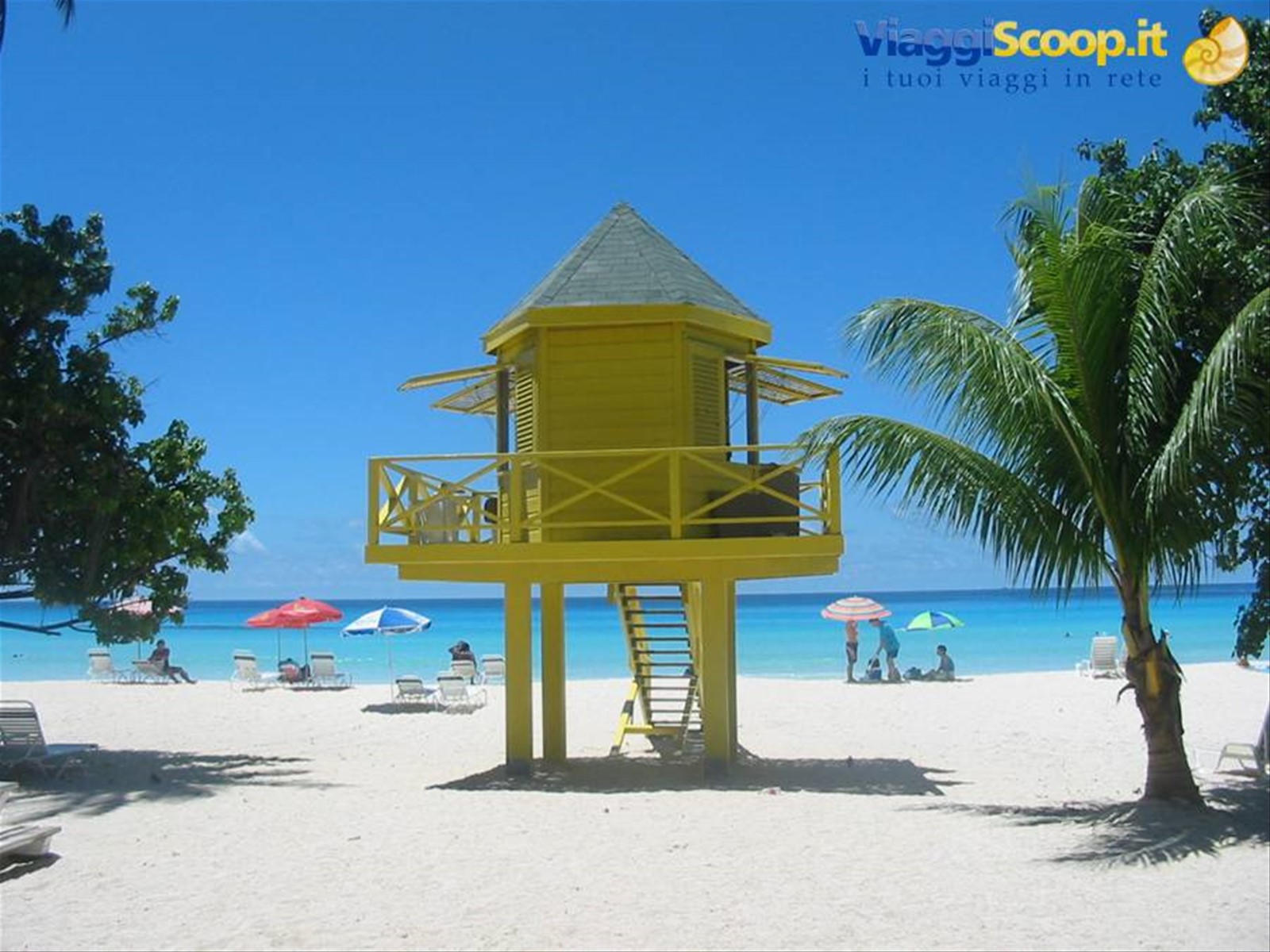 Foto di viaggio in BARBADOS