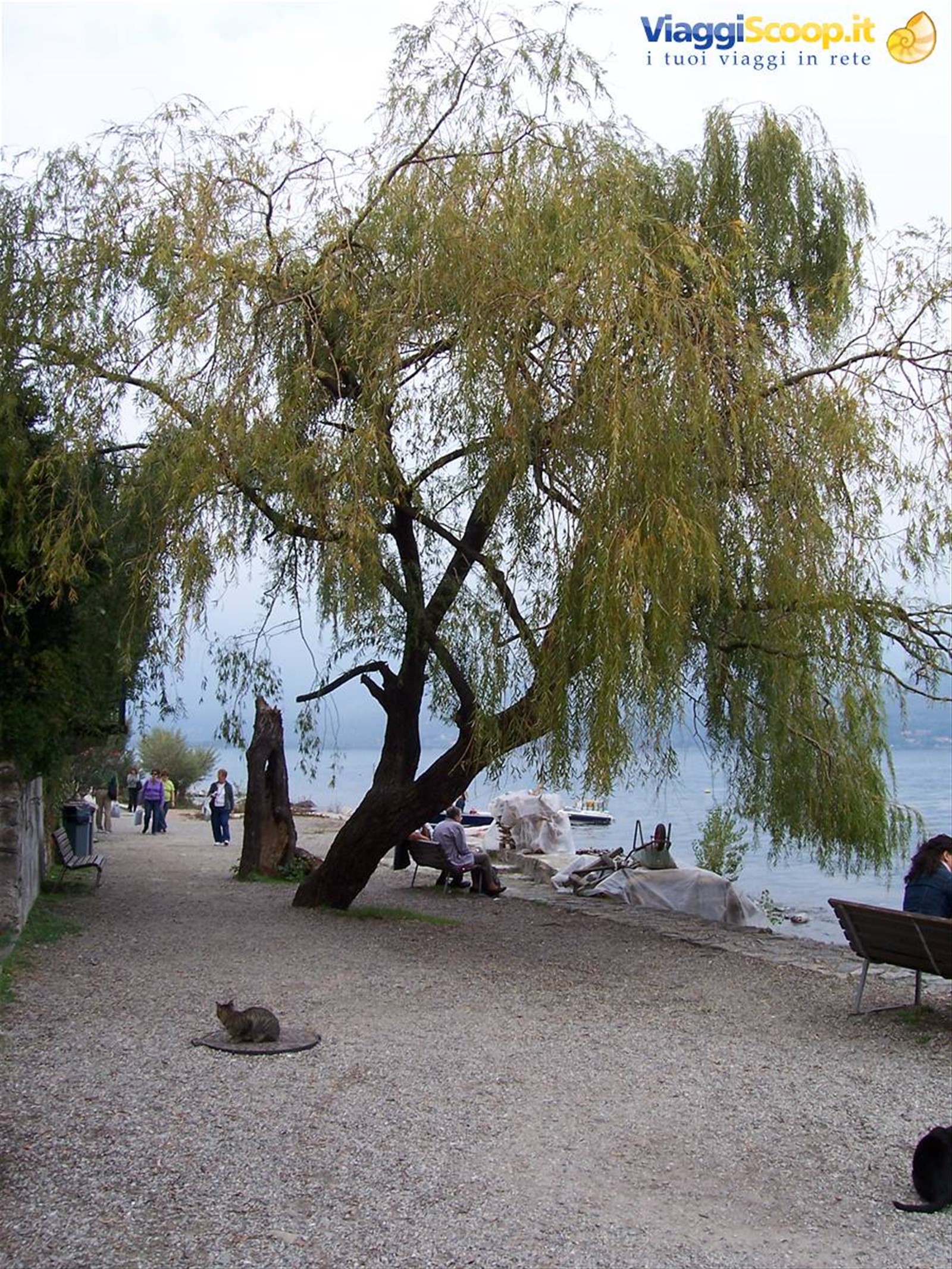ISOLA DEI PESCATORI