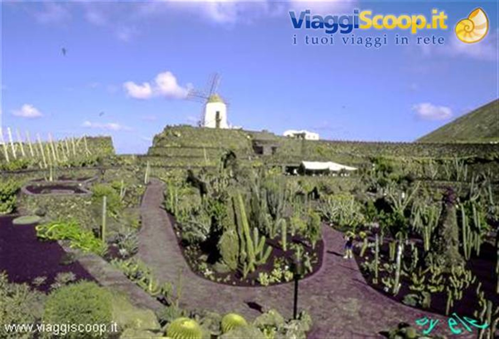 Jardin de Cactus