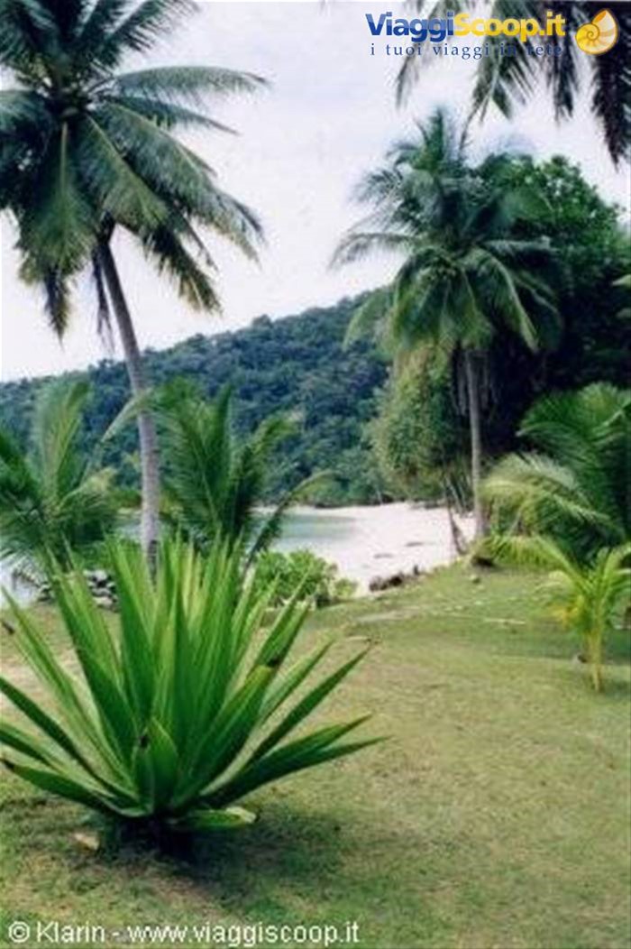 Sibu